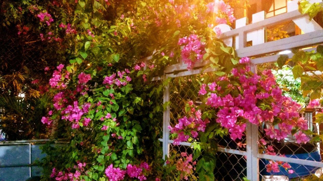 Lapaz Homestay Da Nang Buitenkant foto